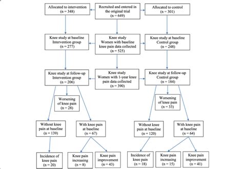 Flowchart Of The Knee Pain Substudy Download Scientific Diagram