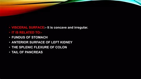 anatomy of spleen | PPT