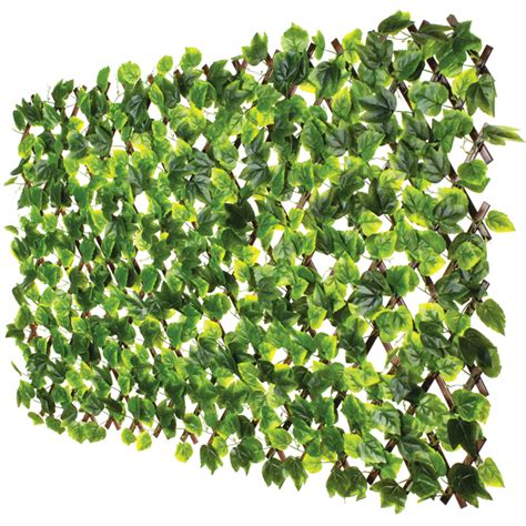 Naturae Decor 36 X 72 In Expandable Green Pvc Foliage Privacy Screen