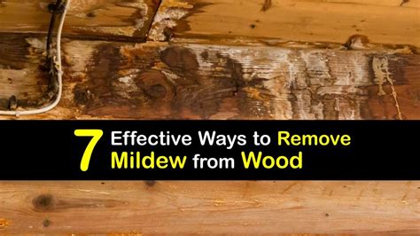 Cleaning Wood Awesome Ways To Get Mildew Out Of Wood