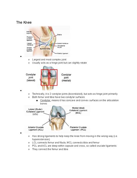 Joints In Depth Notes PTH AS 2201 The Knee Largest And Most Complex