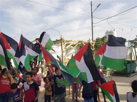 Palestine Supporters in Jordan Rally in Protest against Israeli "Flag ...