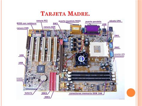 Elementos De Una Tarjeta Madre Culturaci N Hot Sex Picture