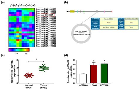 Circ 0000467 Was Upregulated In CRC Tissues And Cells A The Top Ten