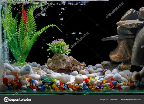 Fish Tank Decor Gravel Tree Bubbles Black Backdrop Stock Photo by ©raluephoto 210994000