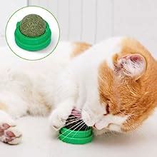 Amazon Potaroma Catnip Toys Balls Pcs Extra Cat Energy Ball