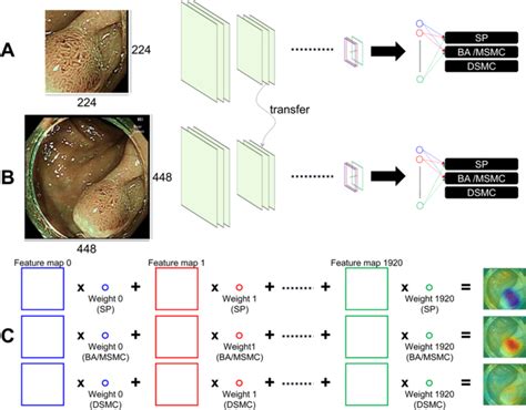 Endoscopic Diagnosis And Treatment Planning For Colorectal Polyps Using