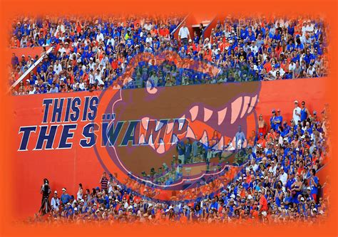 Florida Gators Wallpapers - Wallpaper Cave