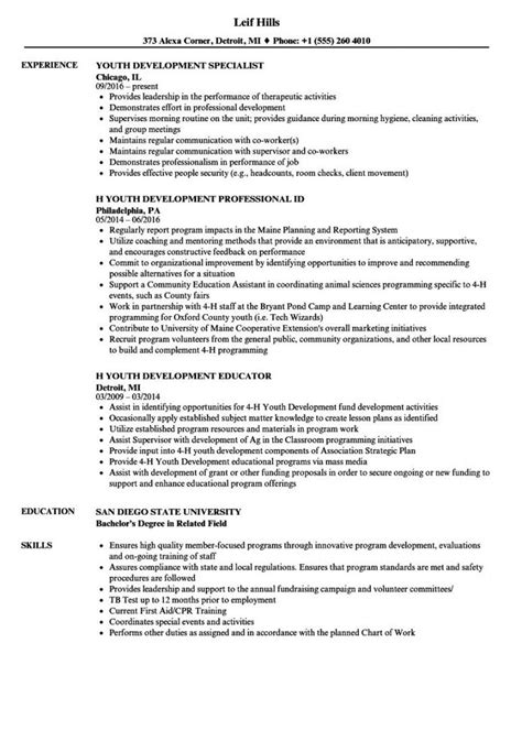 Printable Youth Worker Job Description Template Word Sample Resume Examples Resume Job