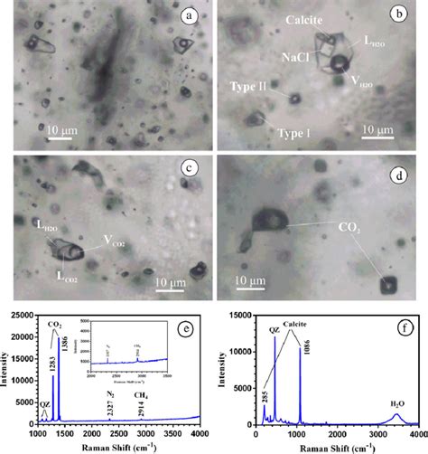 Photomicrographs And Laser Raman Spectra Of Fluid Inclusions From The