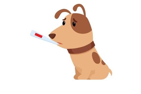 Canine Influenza Virus Symptoms Causes Treatment Activebeat