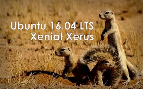 Ubuntu 1604 Lts Codenamed Xenial Xerus Daily Builds Available For