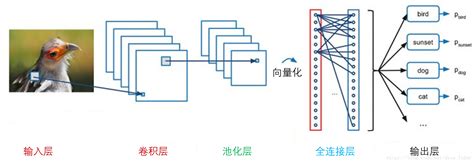 一文读懂卷积神经网络（cnn）卷积神经网络 全局感知 Csdn博客