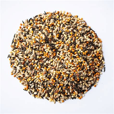 Finch Mix Bird Seed Lb Lurvey Landscape Supply