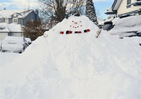 PHOTOS Calgary Digs Out Of An Overnight Snowstorm LiveWire Calgary