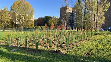 Cesano Boscone Forestami