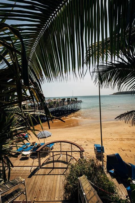 A beach in Dakar, Africa stock image. Image of palm - 163893395