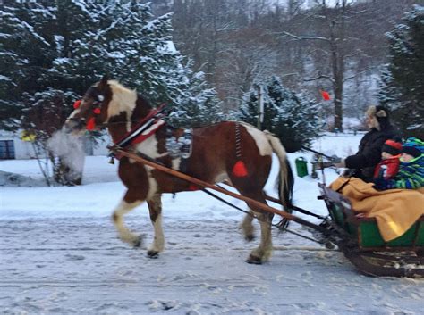 Kulig - Horse Sleigh Rides in Poland