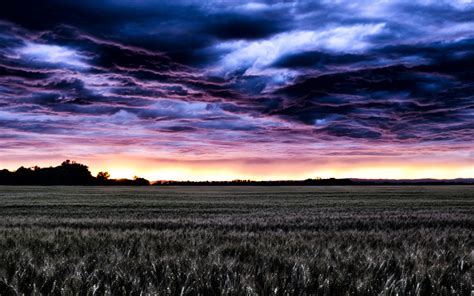 Field Before Storm Free Stock Photo Public Domain Pictures