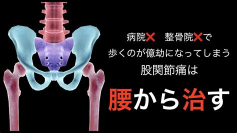 股関節の痛みは腰が原因で起こる 指宿の腰痛肩こり専門整体院 空｜腰痛・肩こりの根本改善を目指す整体院