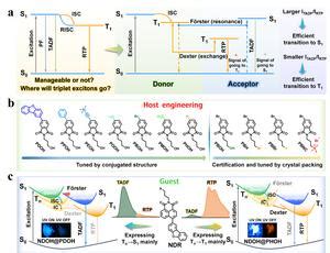 Management Of Triplet Excitons Fine Regulati Eurekalert