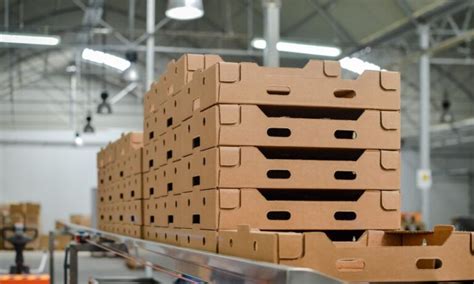 4 Common Myths About Corrugated Pallets