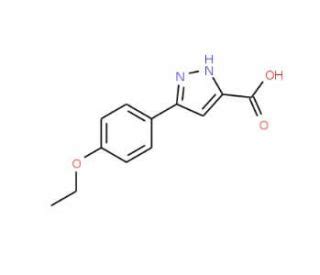 5 4 Ethoxy Phenyl 2H Pyrazole 3 Carboxylic Acid CAS 890591 56 7