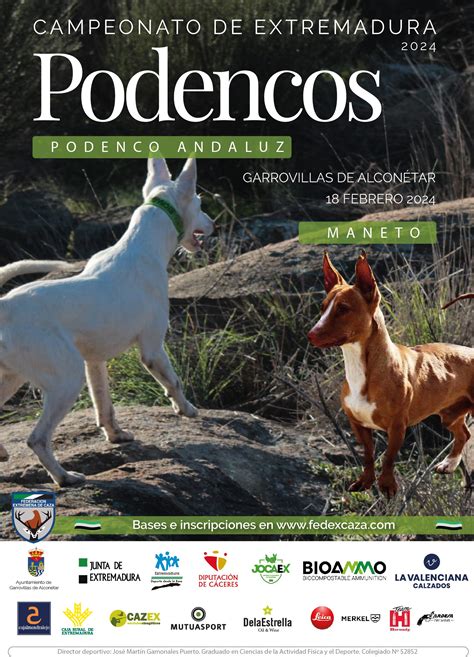 El Campeonato De Extremadura De Podenco Andaluz Y Maneto En Abierto