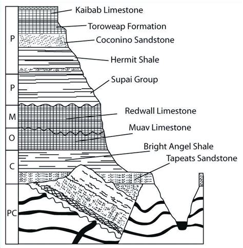 Kaibab Limestone Toroweap Formation Coconino Sandstone Hermit Shale