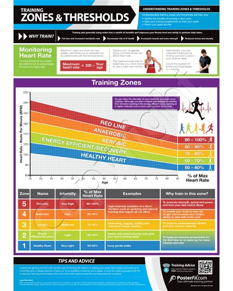 Heart Rate Zone Chart | ubicaciondepersonas.cdmx.gob.mx