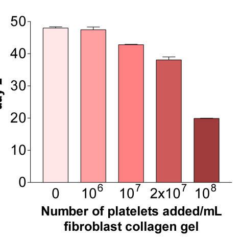 Concentration Dependent Augmentation Of Fibroblast Mediated Collagen