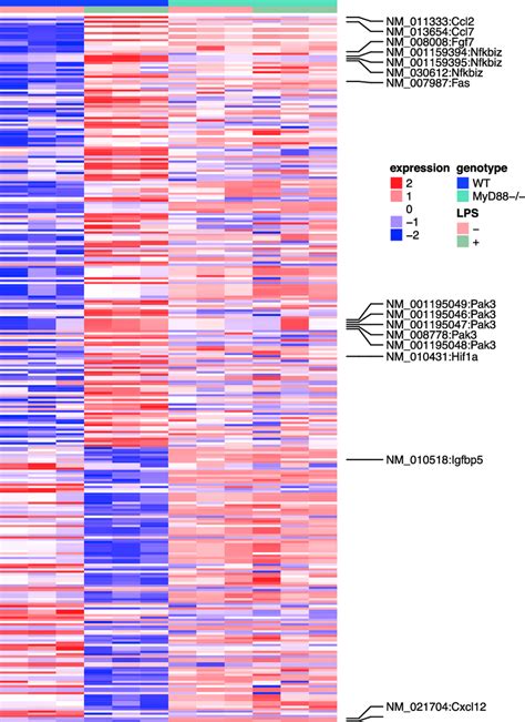 Heat Map Of The Lps Induced Differentially Expressed Genes In Wt And