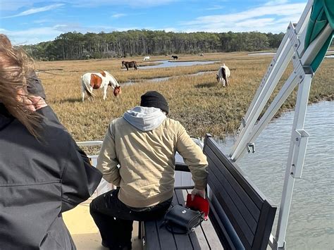 Js Expedition Chincoteague 2022 Qué Saber Antes De Ir Lo Más Comentado Por La Gente