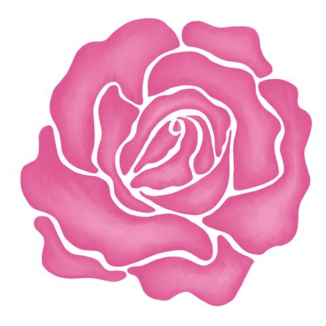 pink rose flower drawing illustration 13168255 PNG