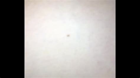 Amateur Milf Dp Search XVIDEOS