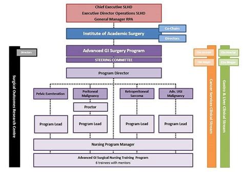 Rpah Institute Of Academic Surgery About Advanced Gi Surgical Program