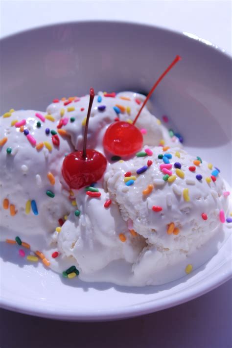 Homemade Ice Cream | I Heart Recipes