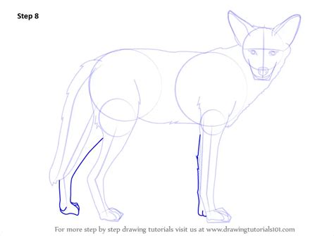 Learn How To Draw A Coyote Wild Animals Step By Step Drawing Tutorials