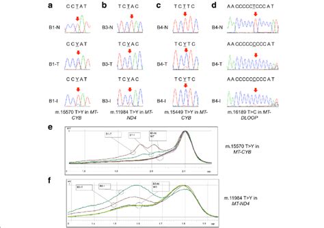 Mitochondrial DNA sequencing in BOTs and implants (a, b, c, d ...