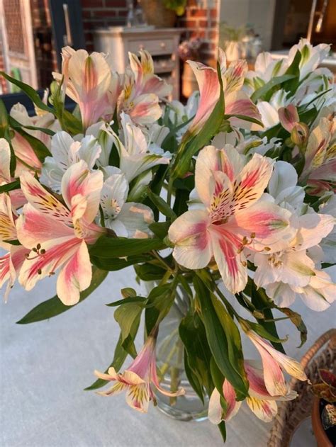 A Vase Filled With Lots Of White And Pink Flowers