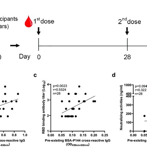 Levels Of Preexisting S2 Cross Reactive Antibodies Correlated With