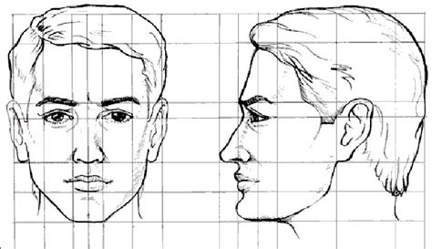 Como Dibujar Un Rostro Paso A Paso Imagui