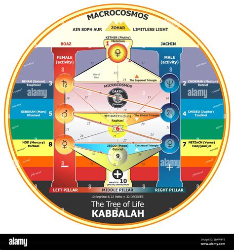 Rbol De La Vida Kabbalah En Esquema De Ilustraci N Vectorial Imagen