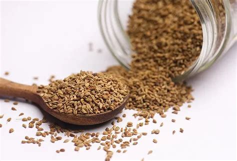 8 Super Health Benefits Of Ajwain Carom Seeds