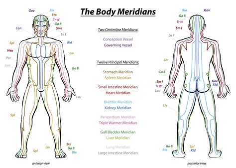 Acupuncture In Overland Park Acupuncture Pulse Diagnosis