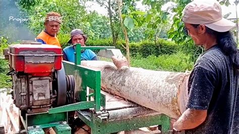 Gergaji Mesin Kayu Serkel Rakitan Membelah Kayu Sengon Besar Bahan Usuk