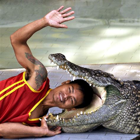 World Record Crocodile Lolong