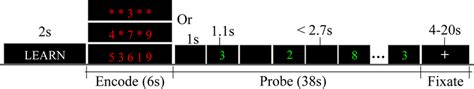 The Sternberg Item Recognition Paradigm Sirp Fmri Task A Working