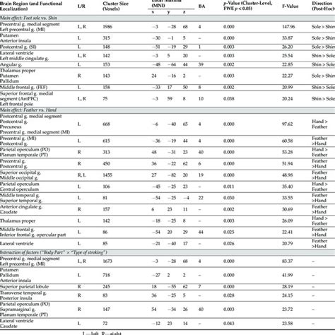 FMRI ANOVA Results Brain Activations Showing A Significant Main Effect