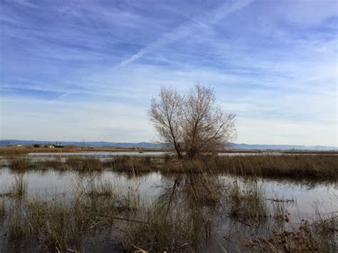 Nature Preserve «Oroville Wildlife Area», reviews and photos, 945 Oro ...